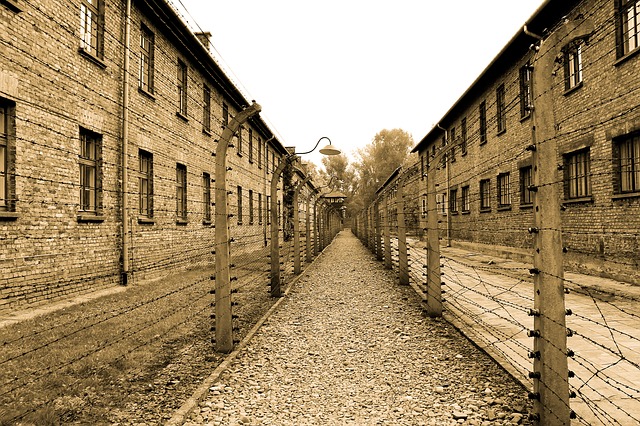 Auschwitz 385639 640
